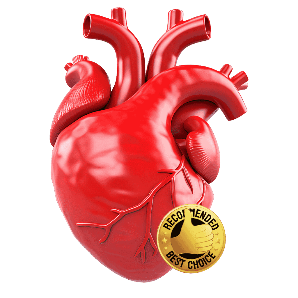 Improve gut health with compack mushroom supplements - gummiegold.com